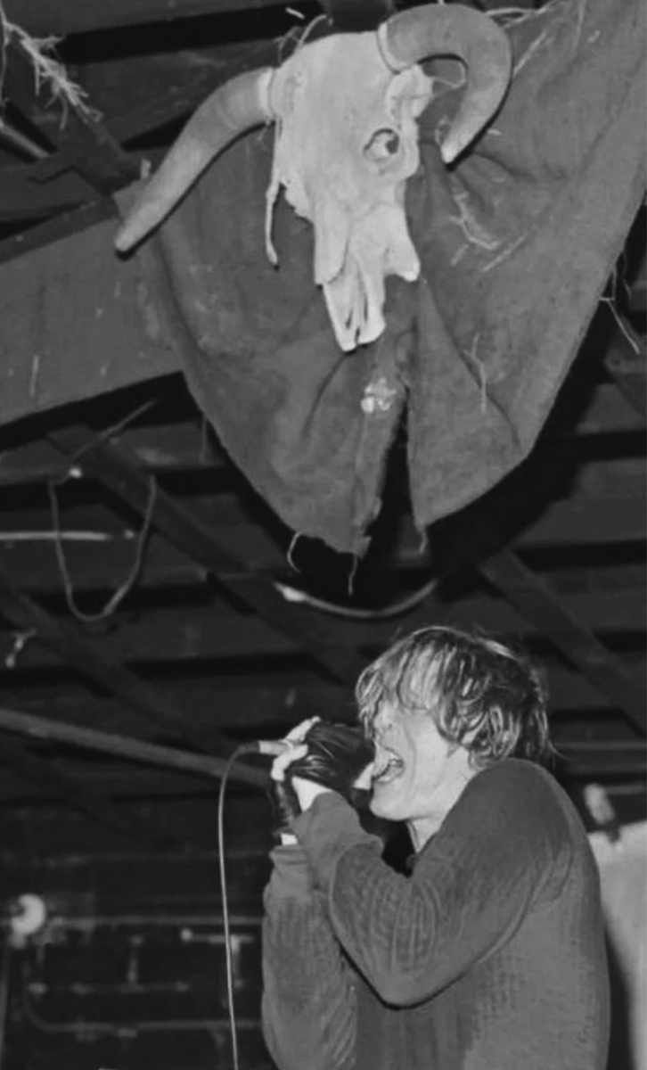 Swans